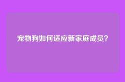 宠物狗如何适应新家庭成员？