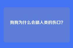 狗狗为什么会舔人类的伤口？