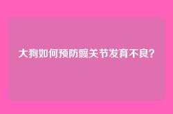 大狗如何预防髋关节发育不良？