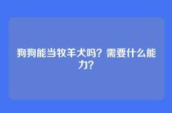 狗狗能当牧羊犬吗？需要什么能力？
