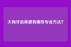 大狗牙齿保健有哪些专业方法？