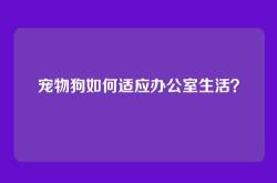 宠物狗如何适应办公室生活？
