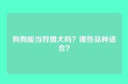 狗狗能当狩猎犬吗？哪些品种适合？
