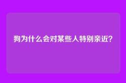 狗为什么会对某些人特别亲近？