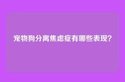 宠物狗分离焦虑症有哪些表现？