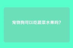 宠物狗可以吃蔬菜水果吗？