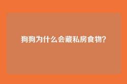 狗狗为什么会藏私房食物？