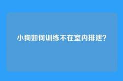 小狗如何训练不在室内排泄？
