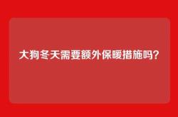 大狗冬天需要额外保暖措施吗？