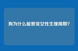 狗为什么能察觉女性生理周期？