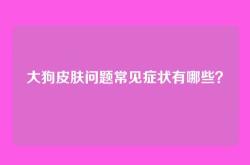 大狗皮肤问题常见症状有哪些？