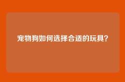 宠物狗如何选择合适的玩具？