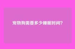宠物狗需要多少睡眠时间？