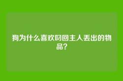 狗为什么喜欢叼回主人丢出的物品？