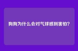 狗狗为什么会对气球感到害怕？