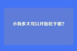 小狗多大可以开始吃干粮？
