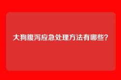 大狗腹泻应急处理方法有哪些？