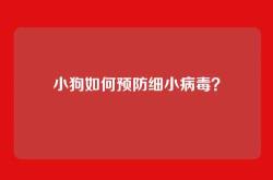 小狗如何预防细小病毒？