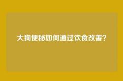 大狗便秘如何通过饮食改善？