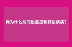 狗为什么能闻出癌症和其他疾病？