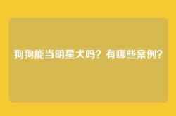 狗狗能当明星犬吗？有哪些案例？