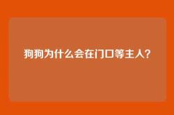 狗狗为什么会在门口等主人？