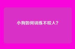 小狗如何训练不咬人？