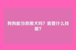 狗狗能当救援犬吗？需要什么技能？