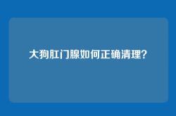 大狗肛门腺如何正确清理？