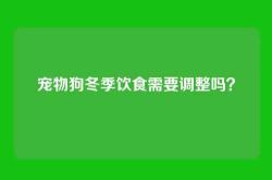 宠物狗冬季饮食需要调整吗？