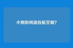 小狗如何适应航空箱？