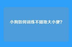 小狗如何训练不随地大小便？
