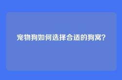 宠物狗如何选择合适的狗窝？