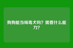 狗狗能当缉毒犬吗？需要什么能力？