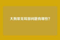 大狗常见耳部问题有哪些？