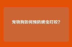 宠物狗如何预防蜱虫叮咬？