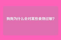 狗狗为什么会对某些食物过敏？