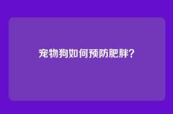 宠物狗如何预防肥胖？