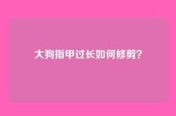 大狗指甲过长如何修剪？