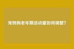 宠物狗老年期活动量如何调整？