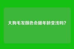 大狗毛发颜色会随年龄变浅吗？