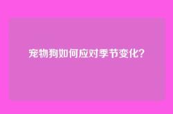 宠物狗如何应对季节变化？