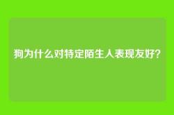 狗为什么对特定陌生人表现友好？