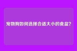 宠物狗如何选择合适大小的食盆？