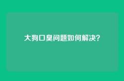 大狗口臭问题如何解决？