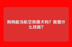 狗狗能当航空救援犬吗？需要什么技能？