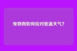 宠物狗如何应对低温天气？