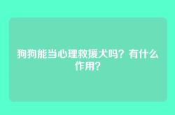 狗狗能当心理救援犬吗？有什么作用？