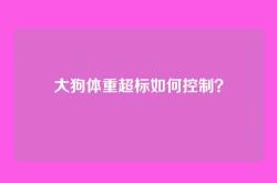 大狗体重超标如何控制？