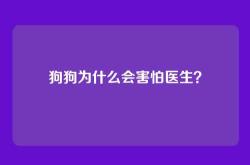 狗狗为什么会害怕医生？